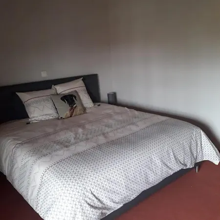 Bed & Breakfast La Ferme Du Puits Carre Lamasquere